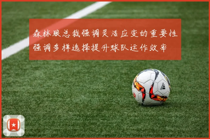 森林狼总裁强调灵活应变的重要性强调多样选择提升球队运作效率