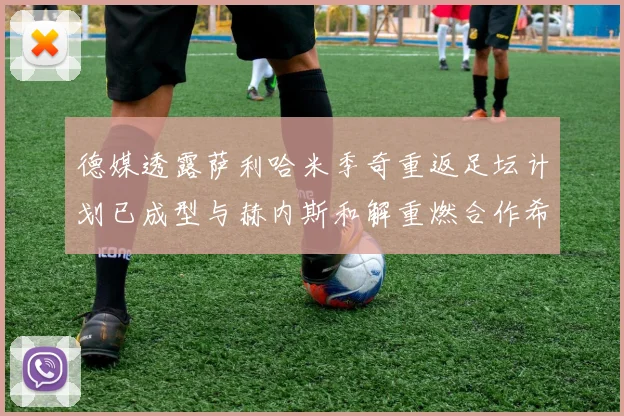 德媒透露萨利哈米季奇重返足坛计划已成型与赫内斯和解重燃合作希望