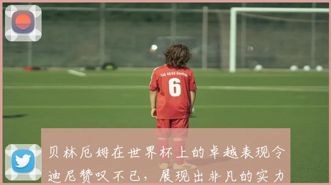 贝林厄姆在世界杯上的卓越表现令迪尼赞叹不已，展现出非凡的实力与魅力